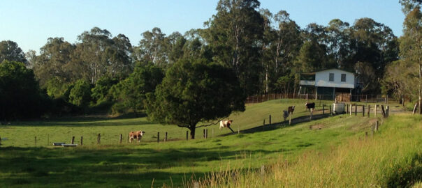 Mount Tambourine Airport Transfers: Brisbane & Gold Coast Airports to Mount Tambourine Transfers