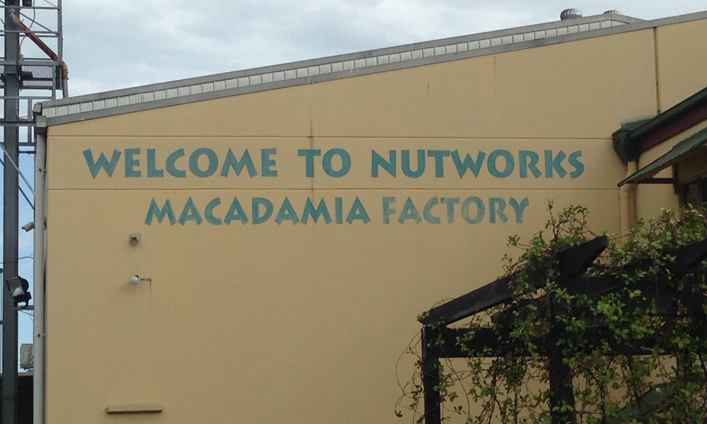 If you are a family travelling through Brisbane or Sunshine Coast or to Nutworks, My Private Transfers and help you to organise your private transfers to Airport or any location in the state.