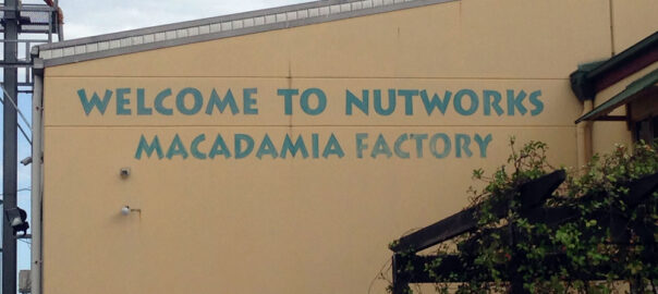 Nutworks