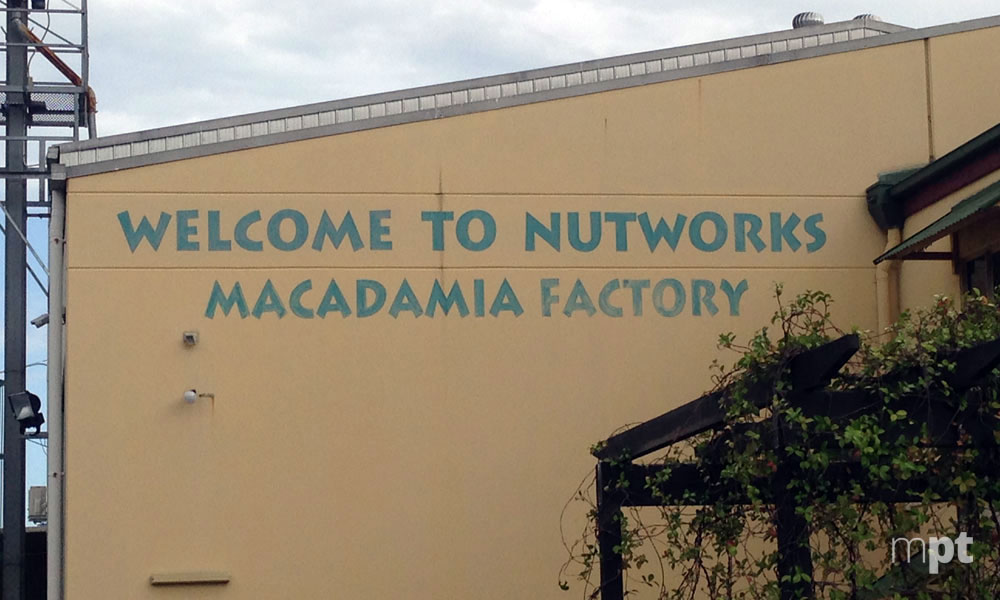 Nutworks | My Private Transfers Nutworks