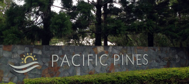 Pacific Pines