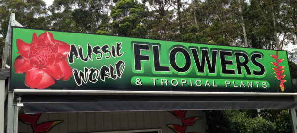 Tropical Plants