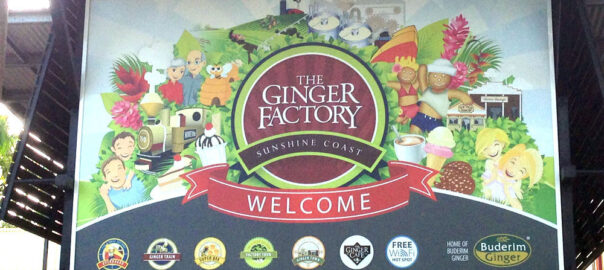 Ginger Factory