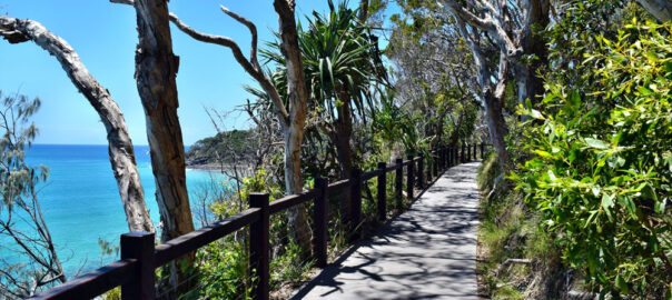 Sunshine Coast Airport to Noosa Private Transfers