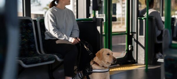 guide dog friendly transport